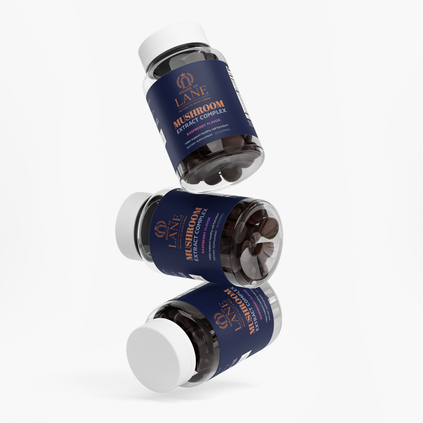 Mushroom Extract Complex