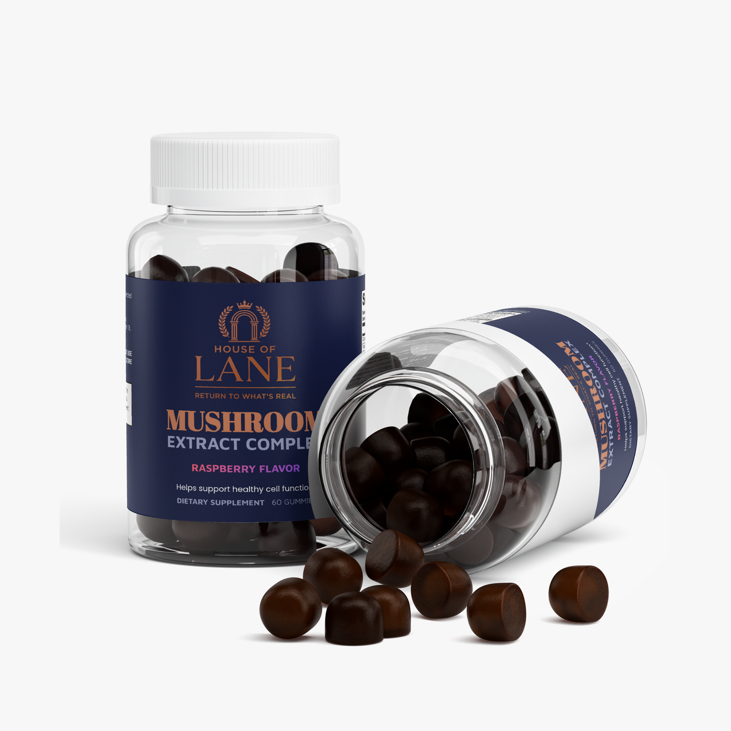 Mushroom Extract Complex