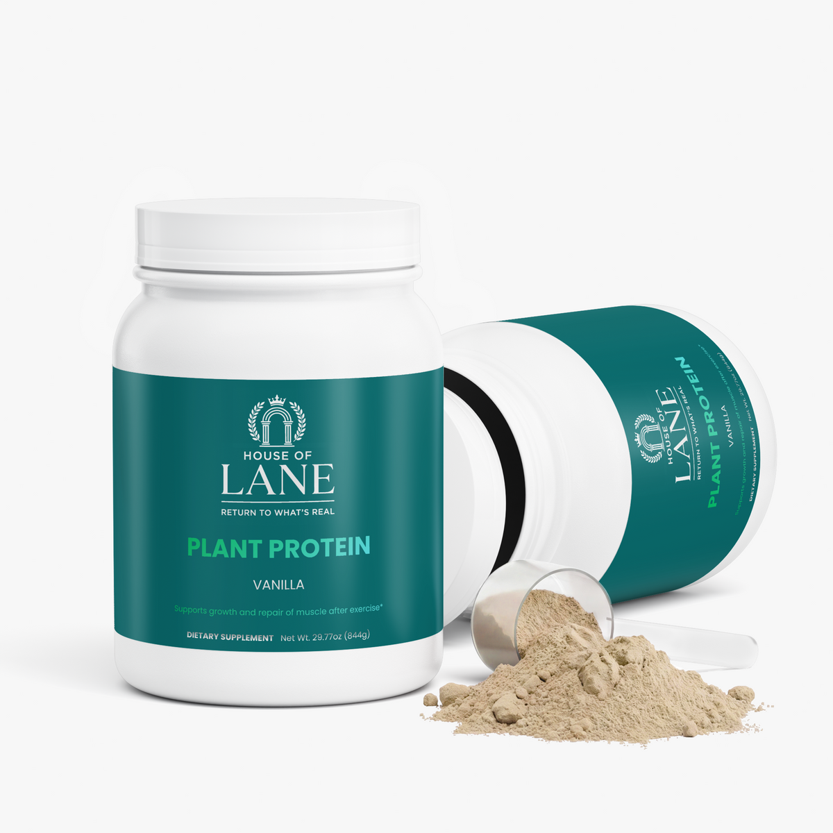 Plant Protein (Vanilla)