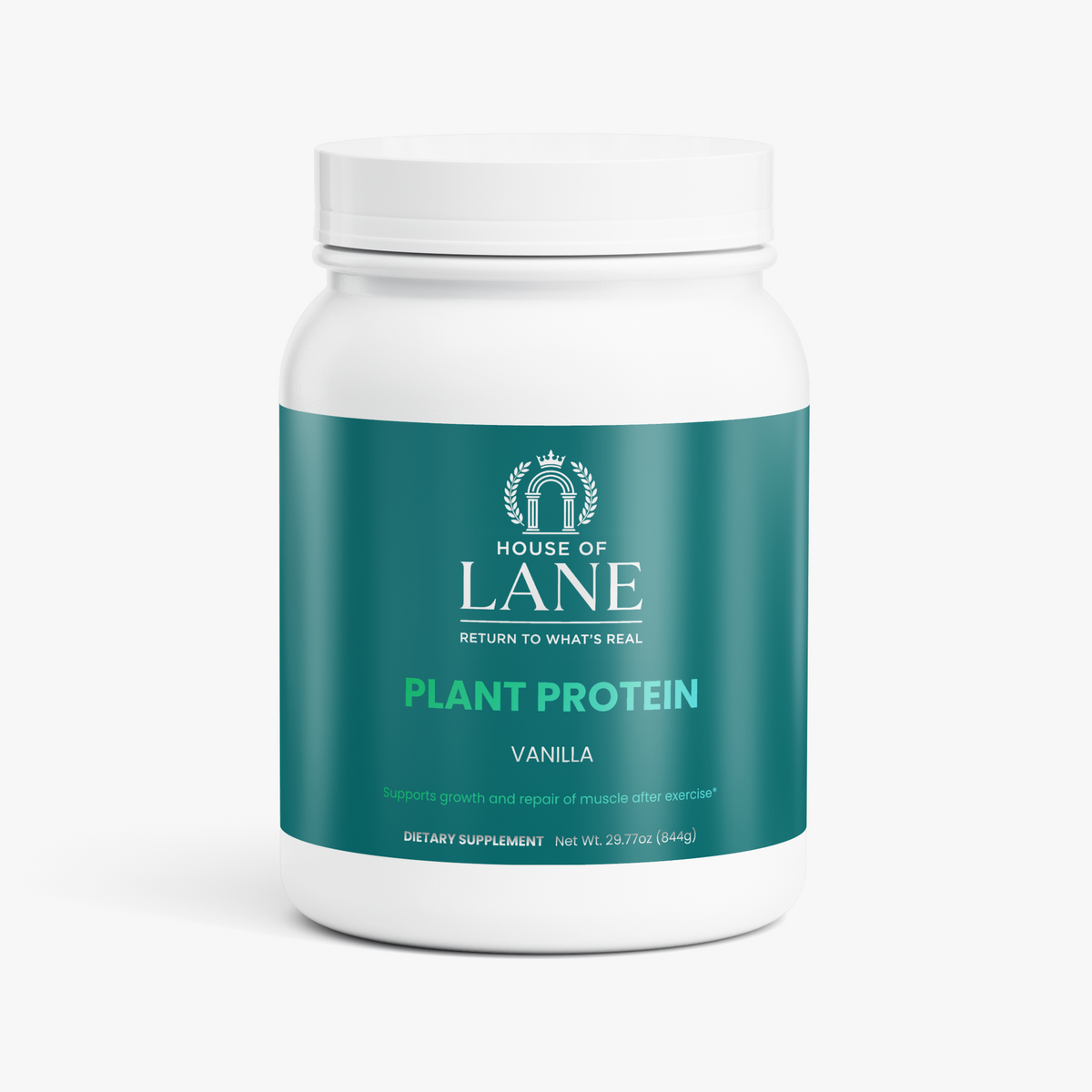 Plant Protein (Vanilla)