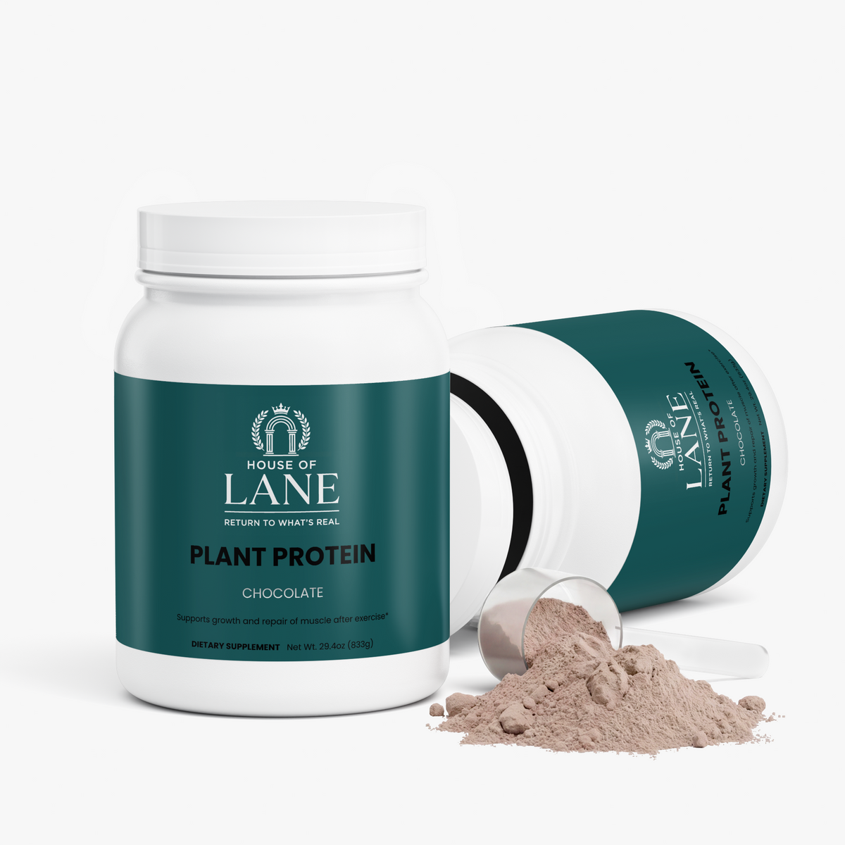 Plant Protein (Chocolate)