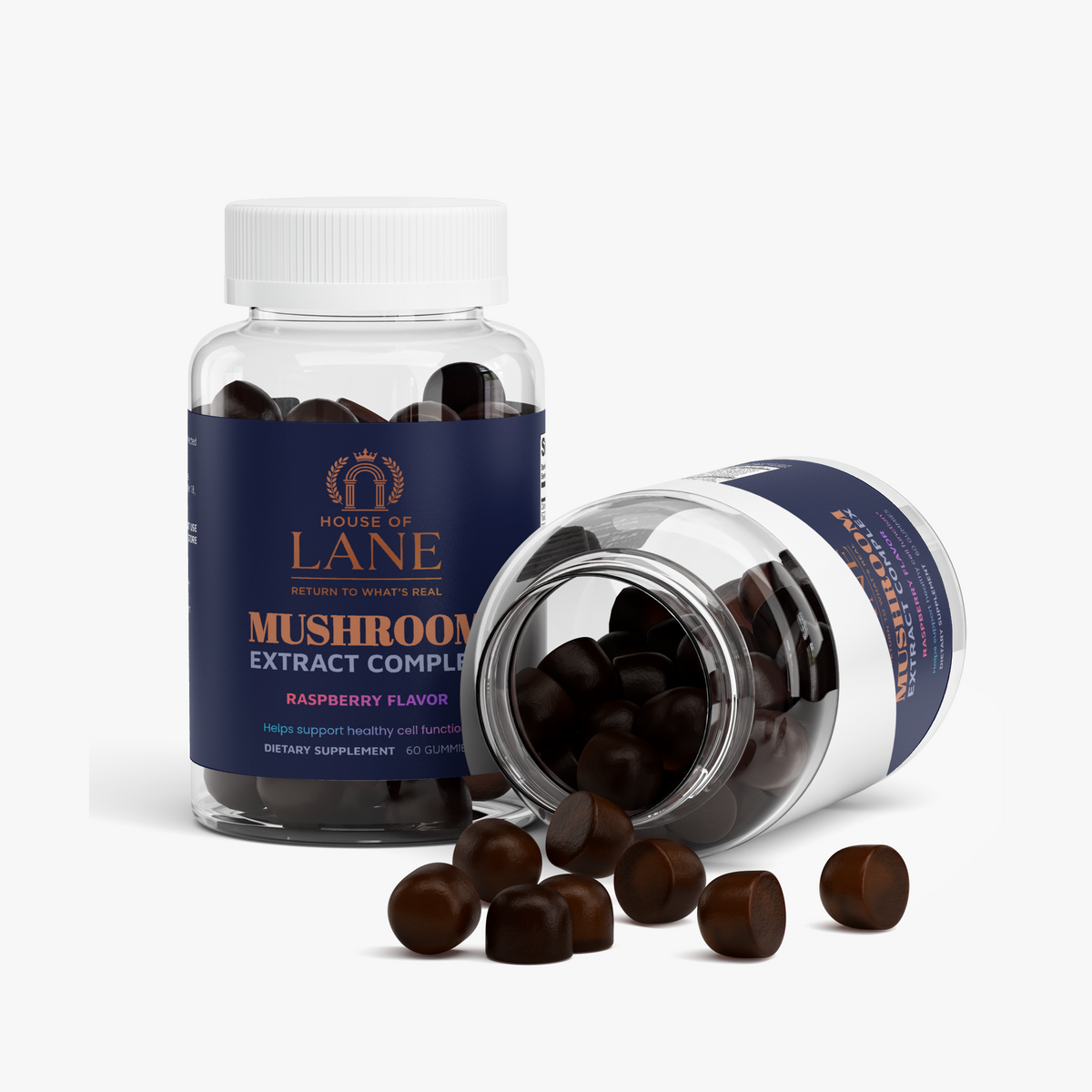 Mushroom Extract Complex