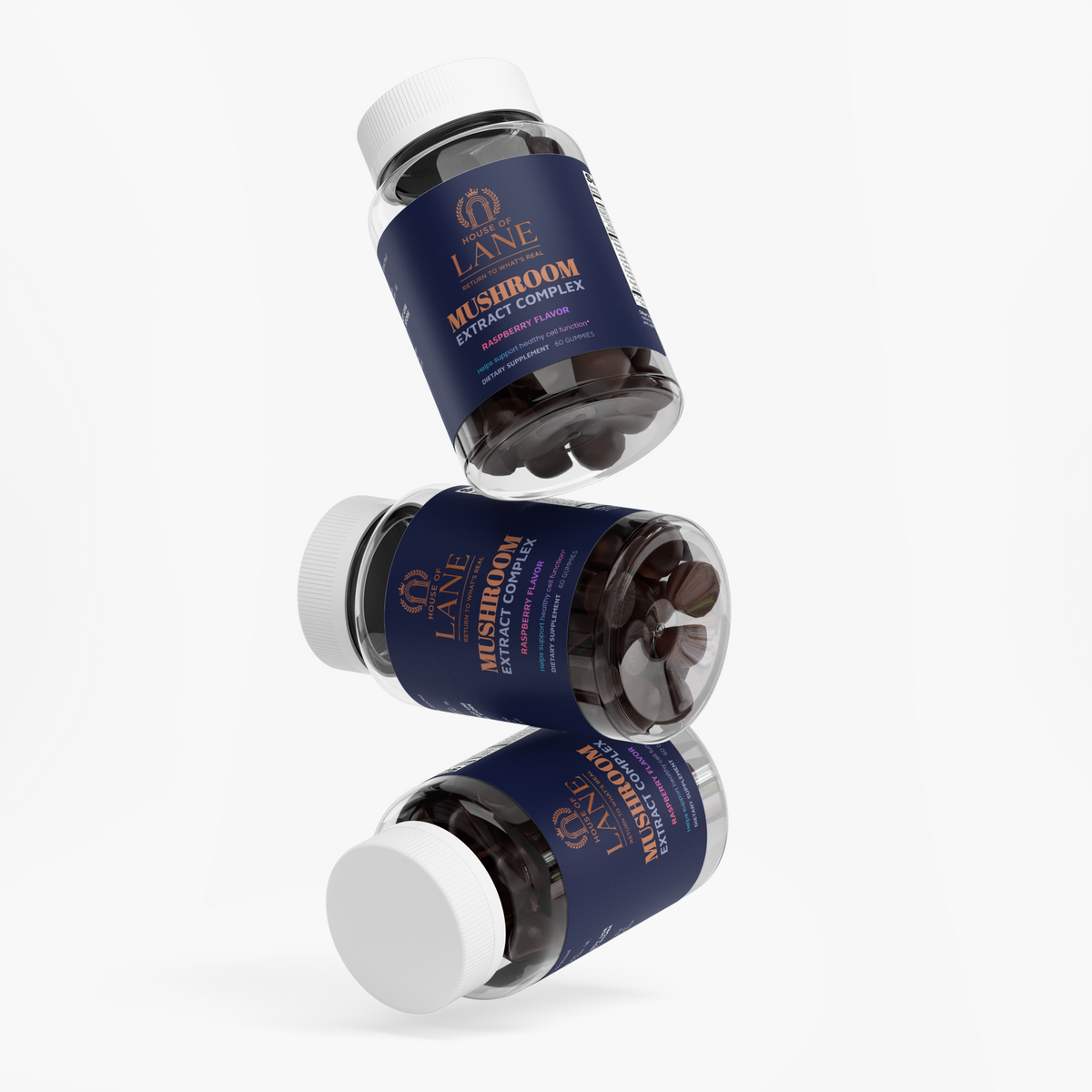 Mushroom Extract Complex